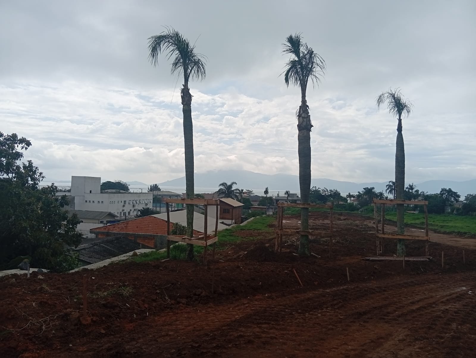 Terreno em Praia de Fora - Foto 3