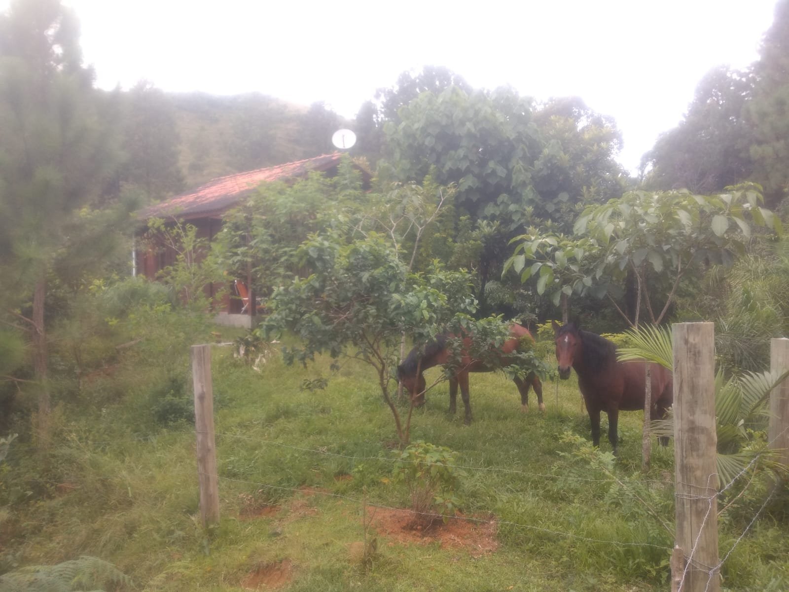 Rural em Estrada Geral de Palheiro - Angelina - Foto 8